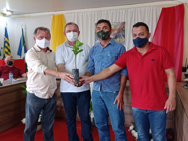Secretaria de Agricultura realiza entrega de mudas de cajú em Sigefredo Pacheco (PI) 